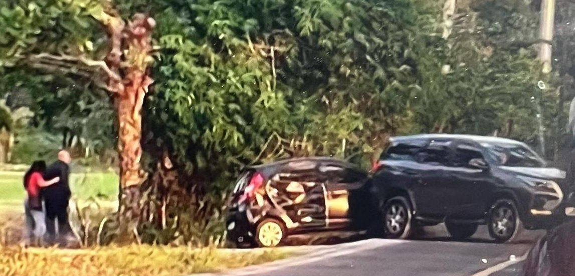 LTO SUSPENDS LICENSE OF FEMALE DRIVER IN SUBIC ROAD RAGE CASE – Journal ...